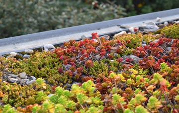 the cost of Olmstead Green green roof installation