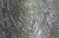 Olmstead Green fibreglass roof work